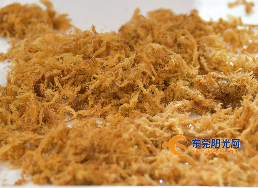 东莞加博会开幕式,东莞家博会去哪里开