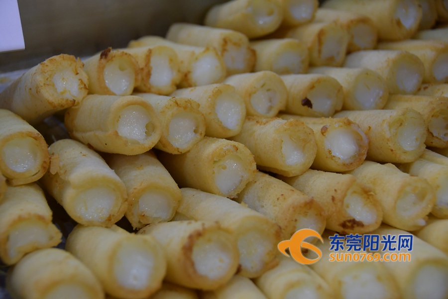 东莞加博会开幕式,东莞家博会去哪里开