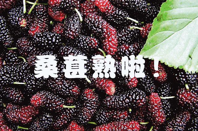 资阳哪里五一节可以去玩,五一周边不挤的景点