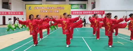 适合中老年人的小型运动会项目,组织老年人活动项目