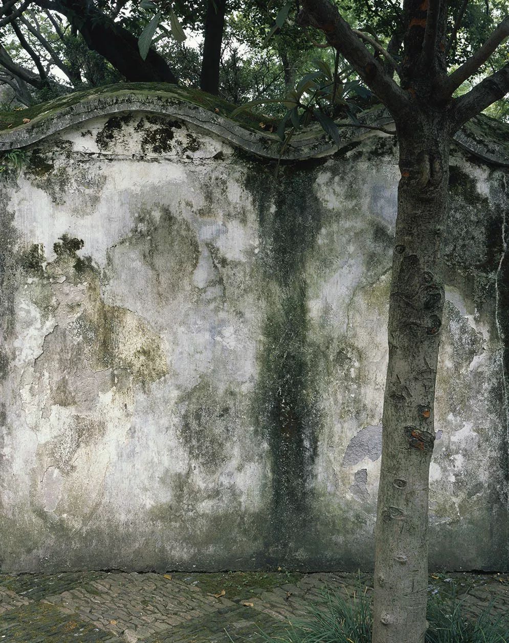 相机拍现代建筑,历史建筑拍摄相机
