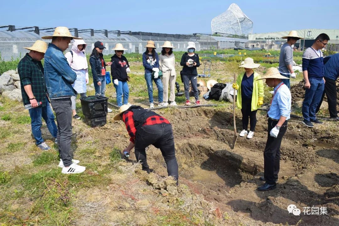 喷灌浇水最快的方法,庭院自动喷灌用什么水