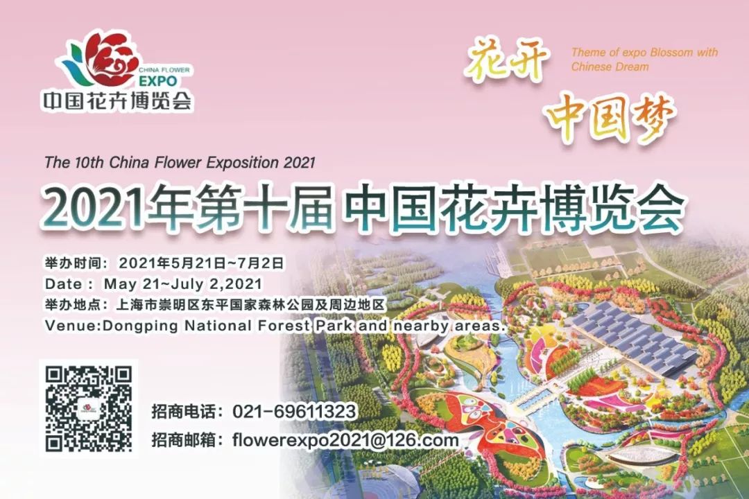 上海崇明车辆年检办理,崇明车子年检