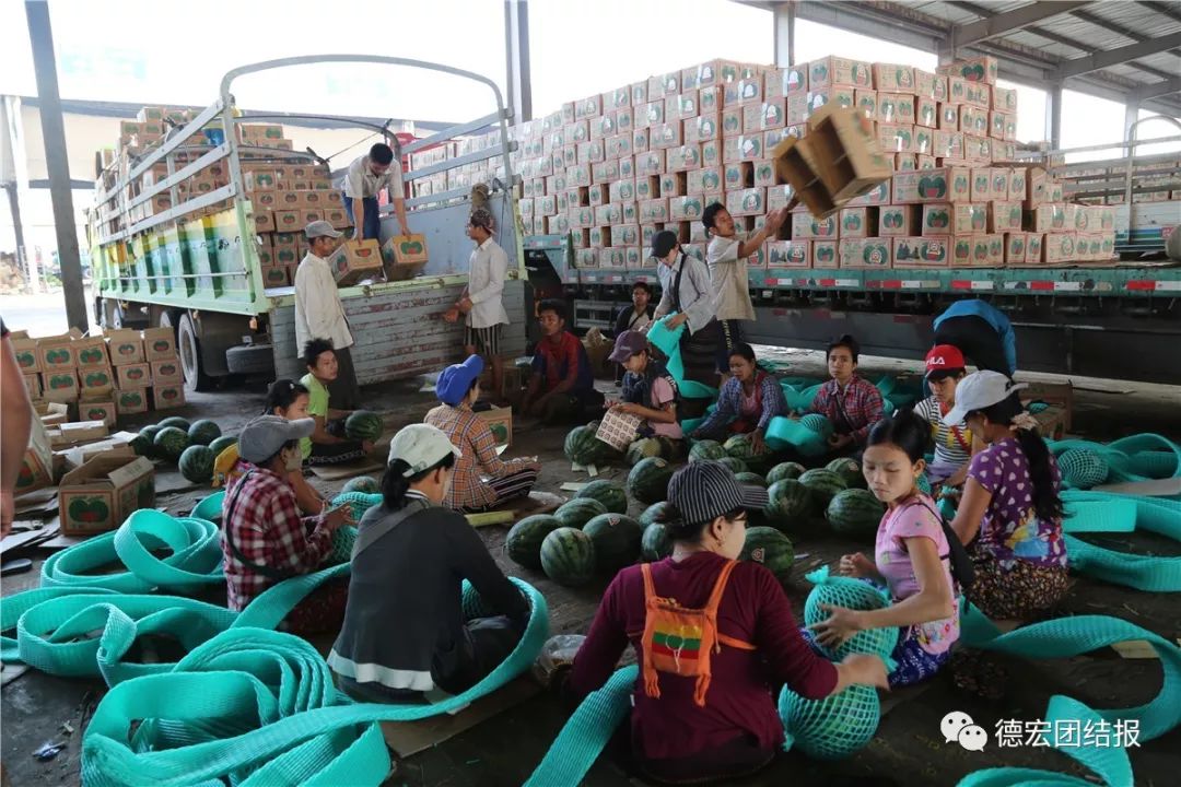 壮丽70年奋斗新时代的图片,壮丽70年奋斗新时代的视频