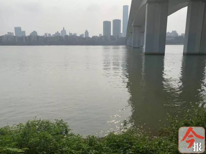 广西柳州柳江河学生溺水死亡新闻,柳江儿童溺水事件