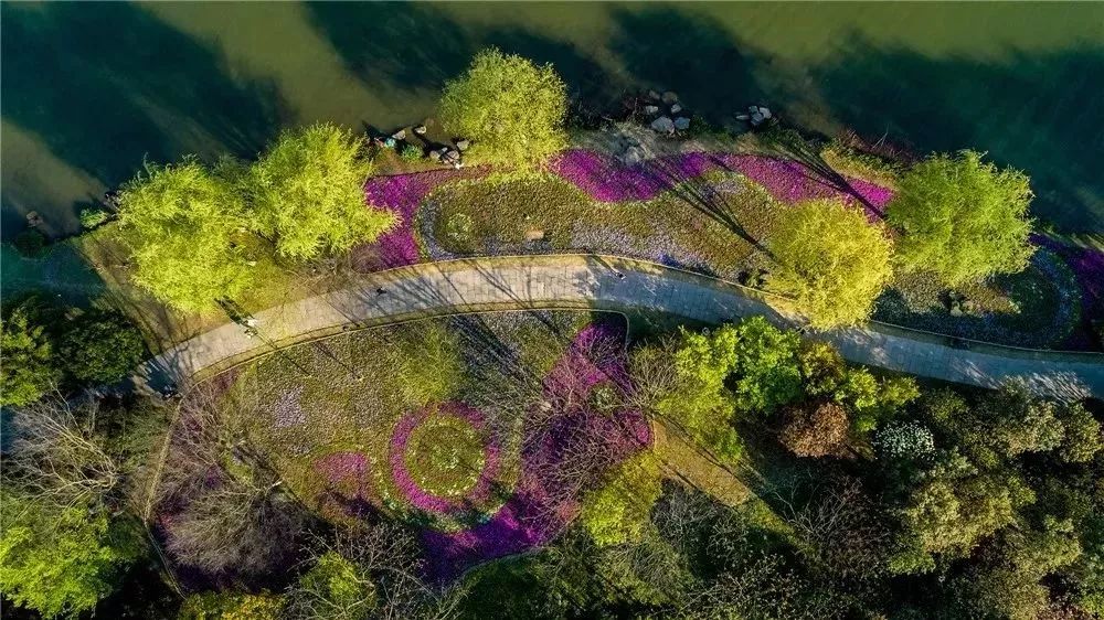 丝巾准备好了吗？杭州残暴的花海等你们摆起五星