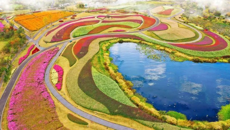 丝巾准备好了吗？杭州残暴的花海等你们摆起五星