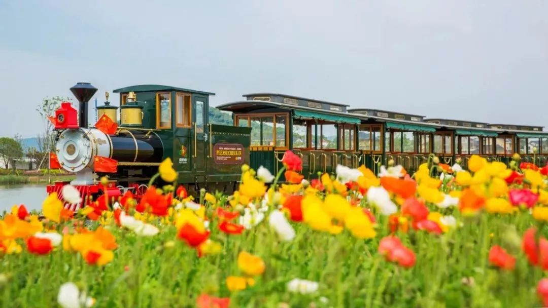丝巾准备好了吗？杭州残暴的花海等你们摆起五星