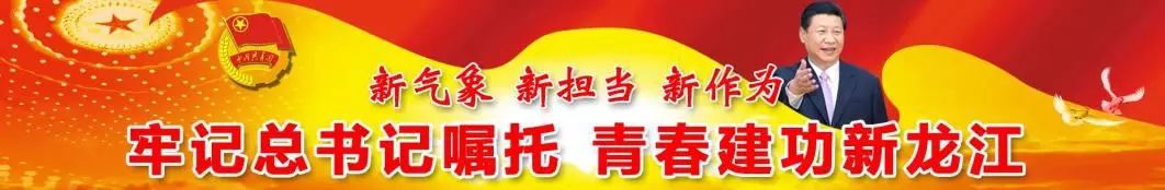 黑龙江五四奖章,黑龙江五四青年奖章公示