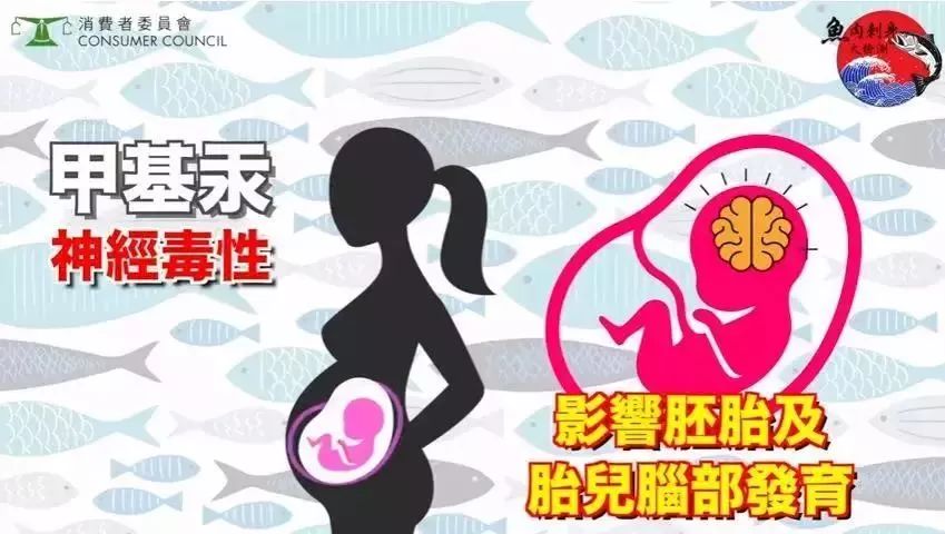 香港消委会：50种刺身样品49种检出重金属，虫卵和线虫也要谨慎…