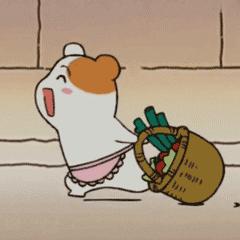 郑州市政府储备菜投放时间,郑州储备菜投放最新信息