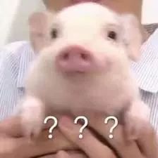 中国养猪现状,农民养猪为何难以致富