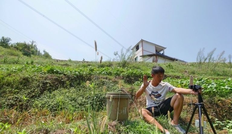 中国养猪现状,农民养猪为何难以致富