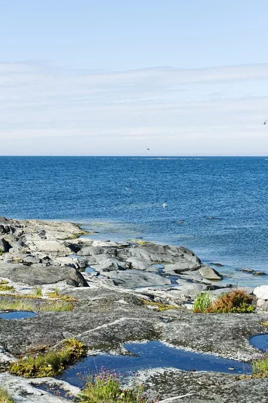 夏天去芬兰,夏天芬兰