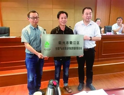 浙江日报头版评价,浙江日报评论拥抱改革