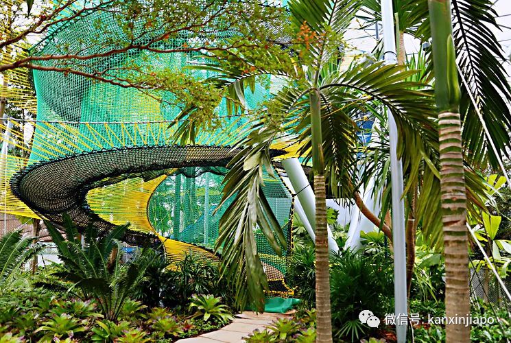 新加坡便宜点健身房有哪些,新加坡单次收费健身房