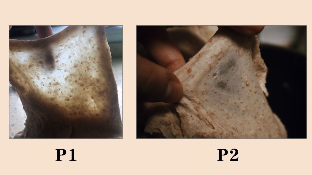 真正吃不胖的全麦面包，如何选？5年总结的经验都在这了