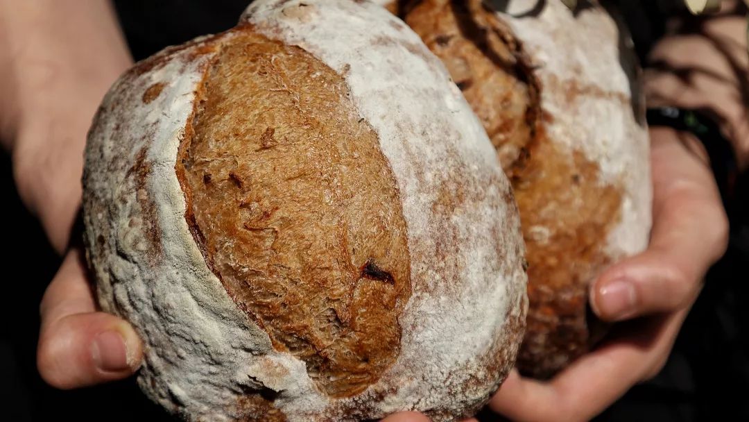 真正吃不胖的全麦面包，如何选？5年总结的经验都在这了