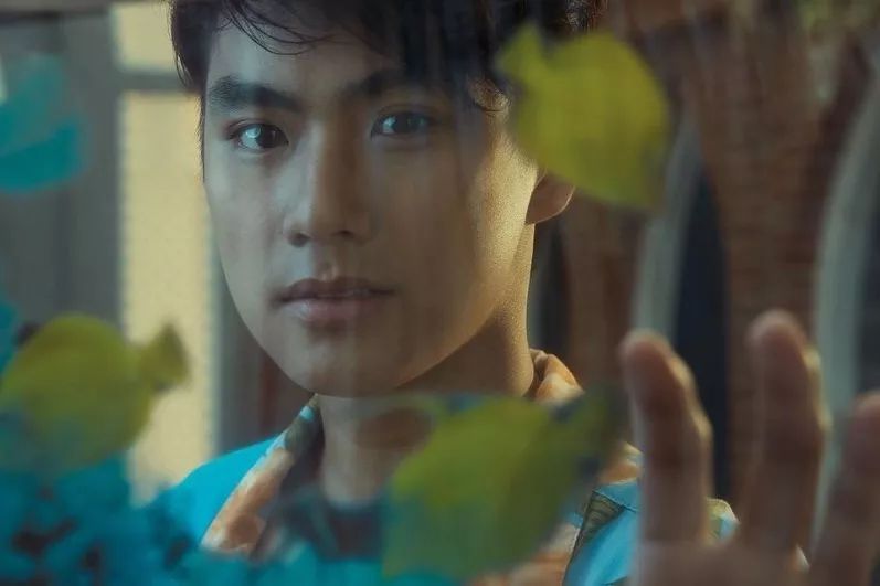 出道20年却一直出演烂片,出道4年演了5部电影火了3部