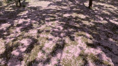 鑱婂煄濮滃牑涔愬洯妯辫姳,鑱婂煄濮滃牑妯辫姳涔愬洯