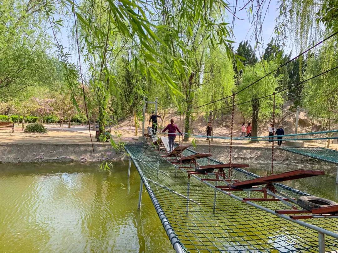 鑱婂煄濮滃牑涔愬洯妯辫姳,鑱婂煄濮滃牑妯辫姳涔愬洯