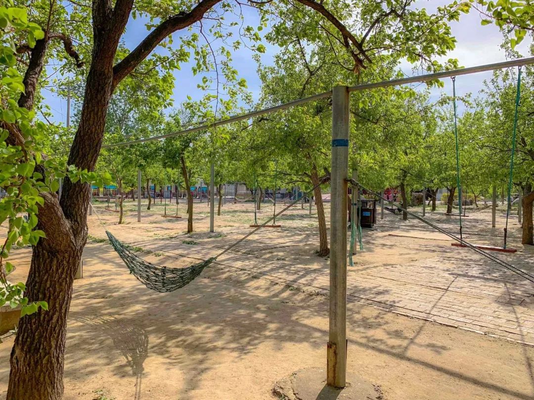 鑱婂煄濮滃牑涔愬洯妯辫姳,鑱婂煄濮滃牑妯辫姳涔愬洯