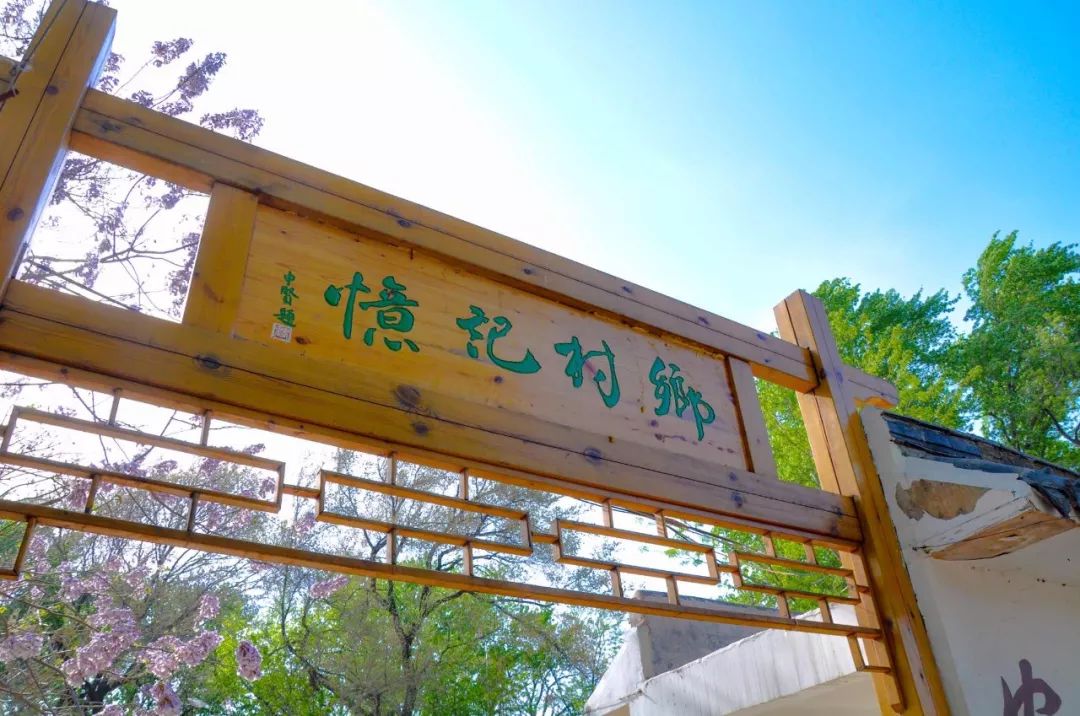 鑱婂煄濮滃牑涔愬洯妯辫姳,鑱婂煄濮滃牑妯辫姳涔愬洯