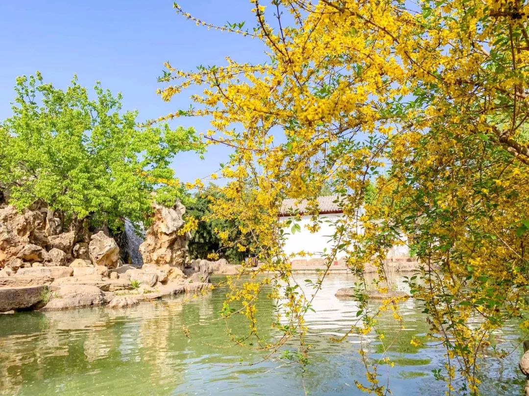 鑱婂煄濮滃牑涔愬洯妯辫姳,鑱婂煄濮滃牑妯辫姳涔愬洯