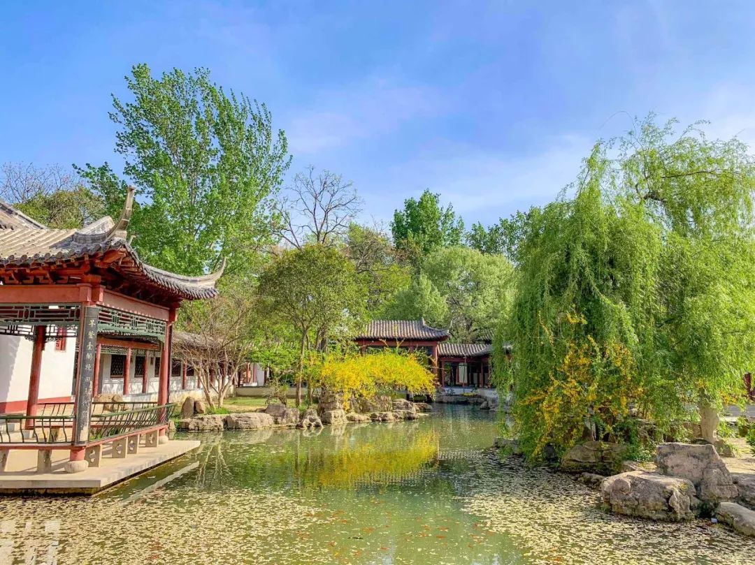 鑱婂煄濮滃牑涔愬洯妯辫姳,鑱婂煄濮滃牑妯辫姳涔愬洯