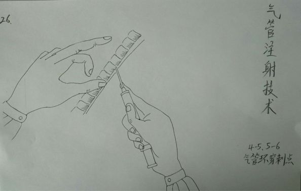 兽医解剖手绘图,兽医画像