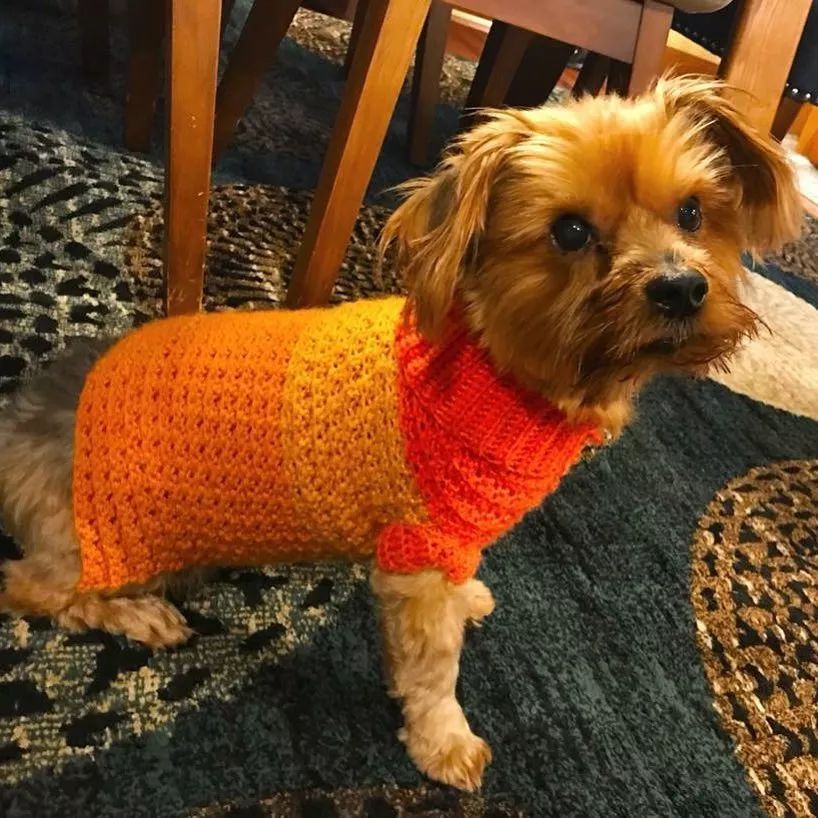 19万人看男生玩编织，他用钩针从非洲弃婴，逆袭为美国“全民偶像”