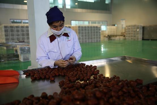 黄李强段淑敏：枣想告诉你|红枣期货上市必知小知识！