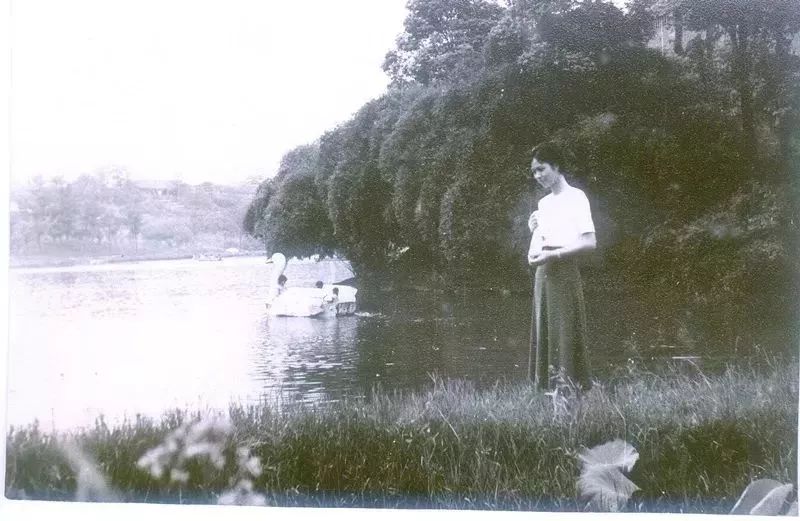 沙坪坝有哪些免费公园,沙坪坝公园推荐