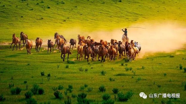 文末有福利|山东广电草原夏令营推出亲子营，8月带娃一起嗨