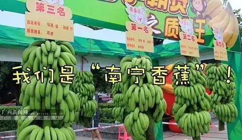 快来打call！柳州螺蛳粉”、“南宁香蕉”等9个广西特产上榜了，受国家保护