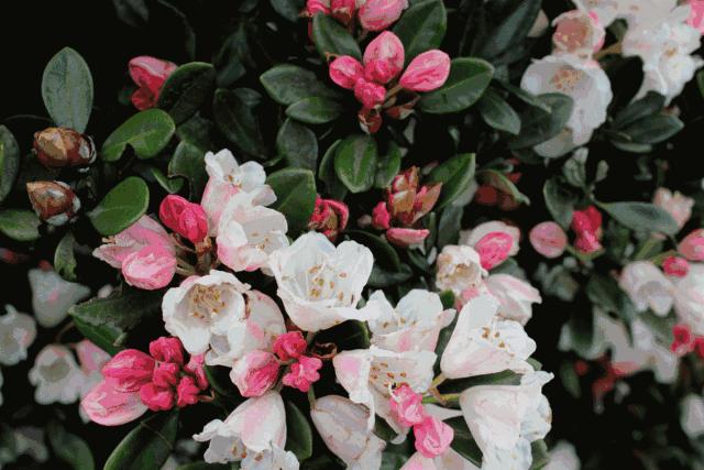 商洛文旅网络推介活动,商洛文旅排名