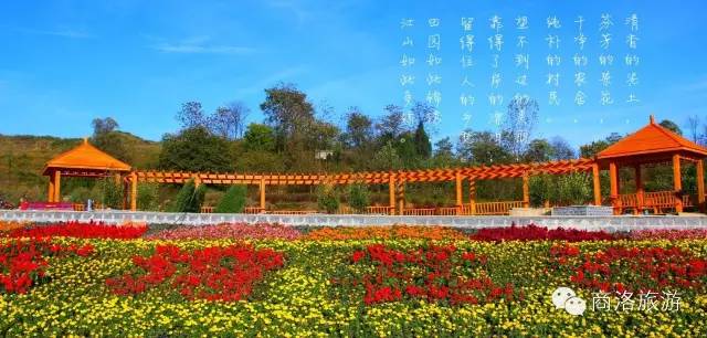 商洛文旅网络推介活动,商洛文旅排名