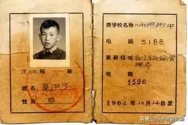 “我在卡塔尔，波澜壮阔的大海中央，奋斗着！为国争光！”丨我的青春宣言