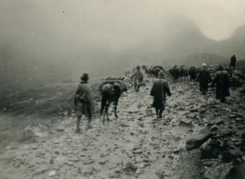 徐乐天教授简介,徐乐天教授