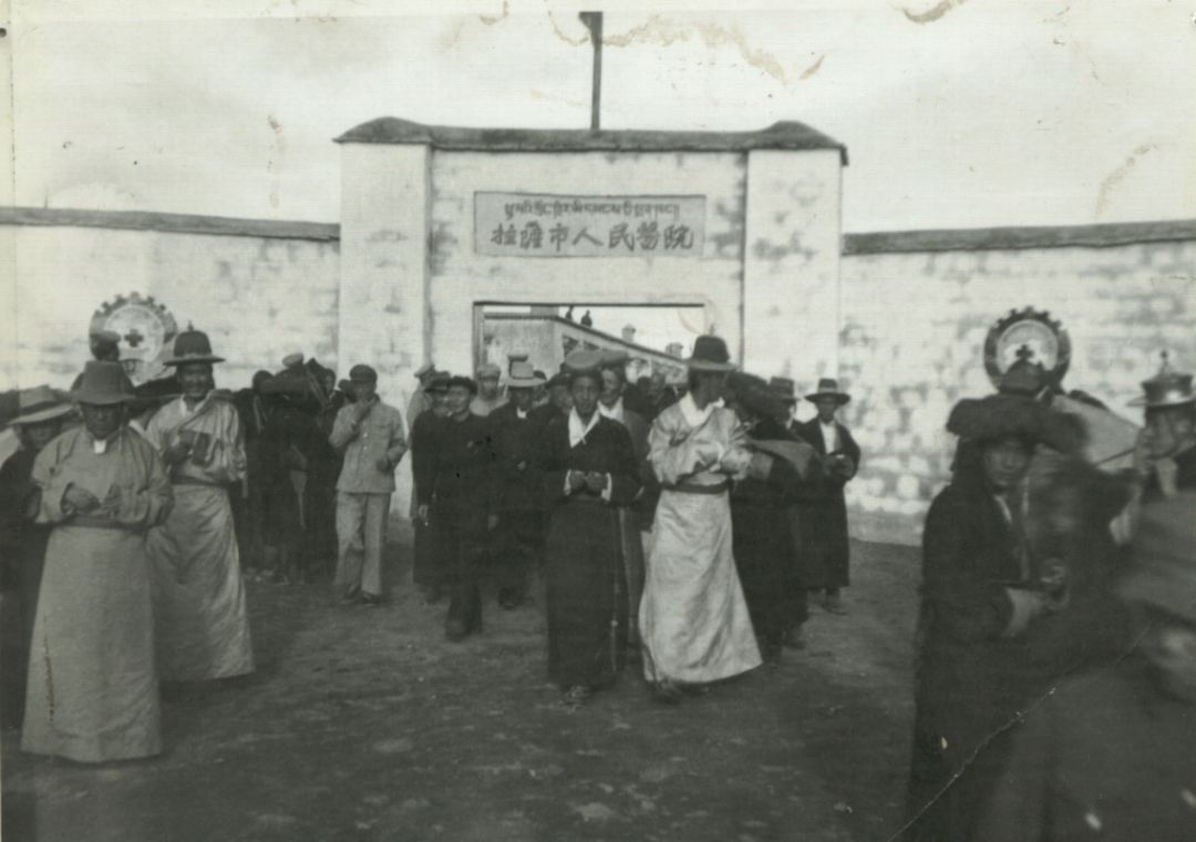 徐乐天教授简介,徐乐天教授