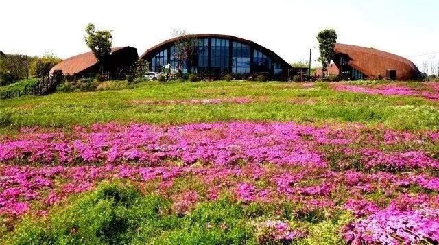 姹傚鐢熸棩娲惧甯冪疆,姹傚鍛婄櫧鐢熸棩娲惧甯冪疆