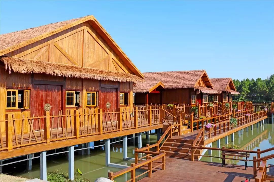 姹傚鐢熸棩娲惧甯冪疆,姹傚鍛婄櫧鐢熸棩娲惧甯冪疆