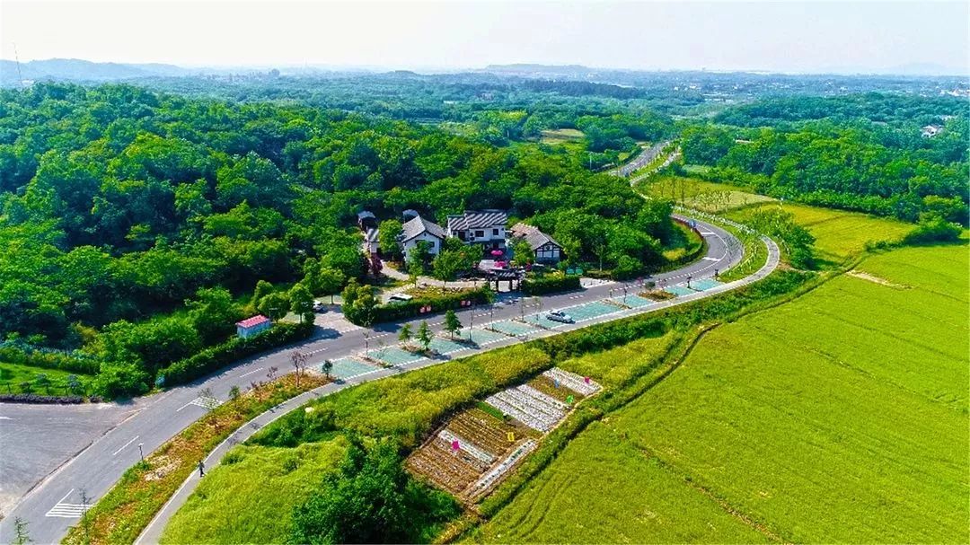 姹傚鐢熸棩娲惧甯冪疆,姹傚鍛婄櫧鐢熸棩娲惧甯冪疆