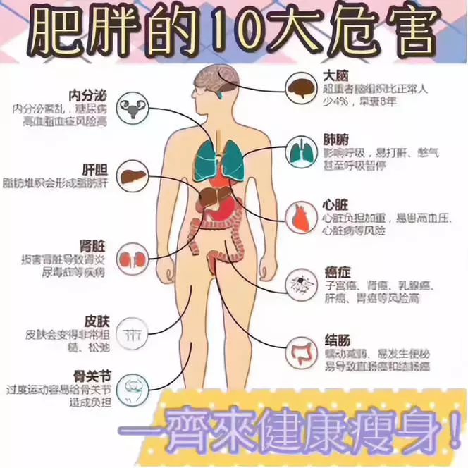 懒人减肥法两个月的时间减重70斤,减肥2个月快速瘦34斤到45斤