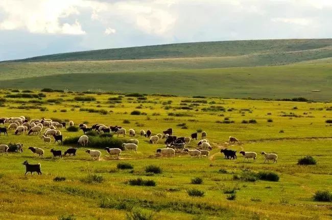 能坐火车出国去哪些国家旅游,出国坐火车必去的五个地方