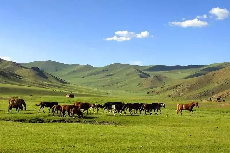 能坐火车出国去哪些国家旅游,出国坐火车必去的五个地方