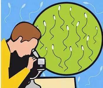 备孕二胎父亲该做什么,备孕时准爸爸关注事项有哪些