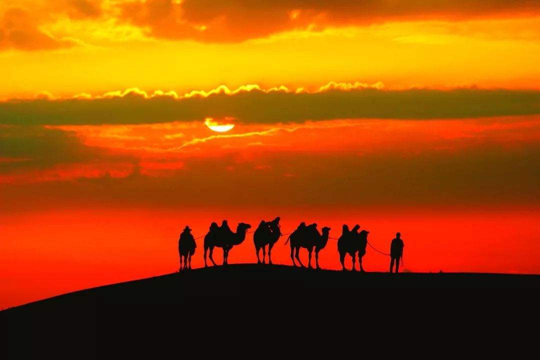 通辽文化旅游季来啦！赏花、踏青、采摘……让你嗨个够！