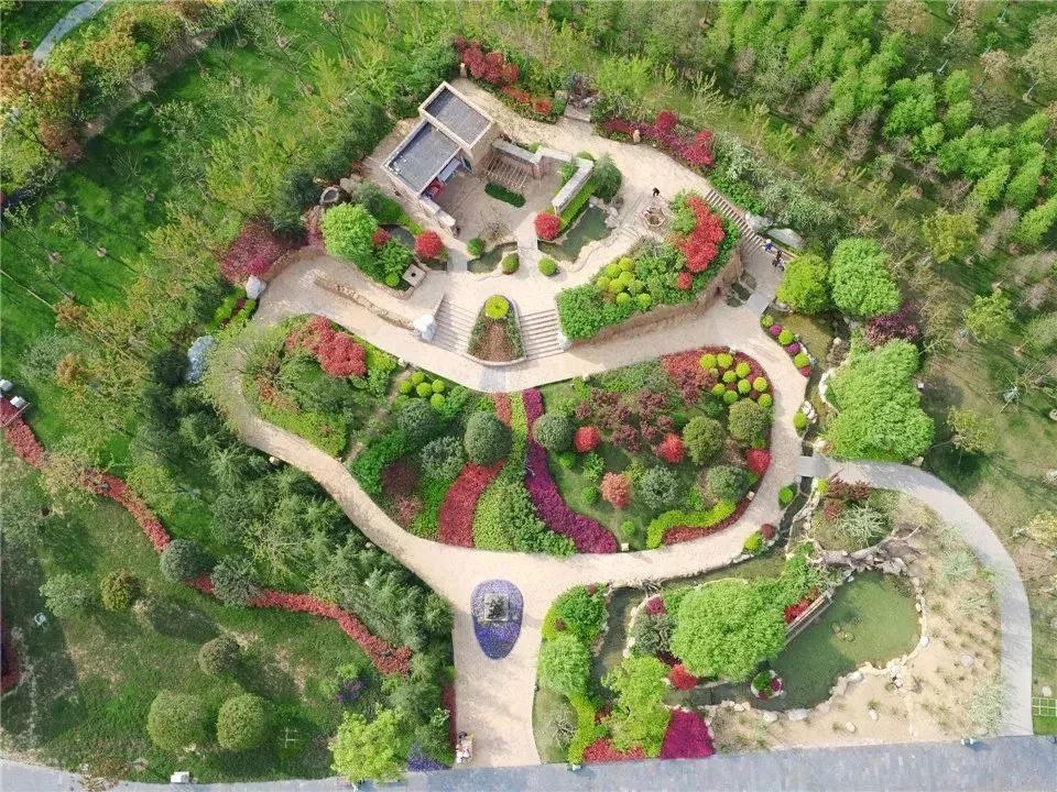 汉口里有什么活动吗,汉口白天儿童旅游攻略