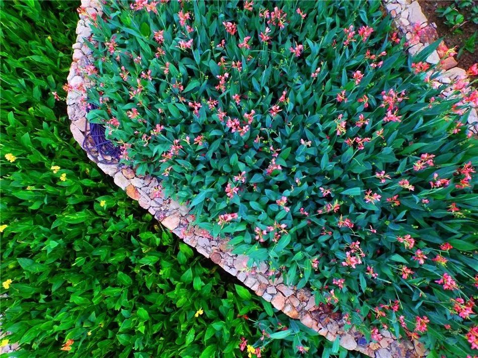 汉口里有什么活动吗,汉口白天儿童旅游攻略